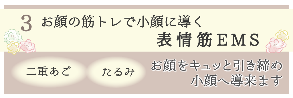 表情筋EMS
二重アゴ、たるみ、小顔