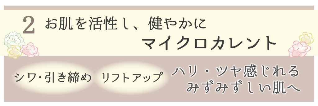 マイクロカレント
細胞活性、リフトアップ、たるみ、シワ、引き締め